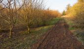 Tocht Te voet Wyre Forest - Stourport Circular Walk - Photo 1