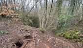 Randonnée Marche Viroinval - Nismes parcours géologique ouest 10,8 km - Photo 16