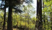 Tocht Te voet Kaufungen - Niederkaufungen, Rundweg 25 - Photo 3