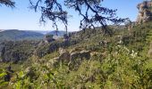 Randonnée Marche Le Rozier - corniche du Tarn et de la Jonte - Photo 1