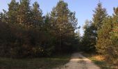 Trail Running Beaune - Montagne1 - Photo 3