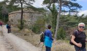 Tour Wandern Plan-d'Aups-Sainte-Baume - Le col des Glacières - Photo 2