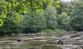 Trail Walking Florenville - Azy - Photo 6