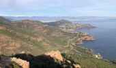 Trail On foot Saint-Raphaël - 2 pics et 3 cols depuis le parking d' Antheor - Photo 8