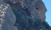 Trail Walking La Ciotat - Trail Walking La Ciotat -