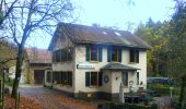 Excursión A pie Weiler bei Bingen - Baumgeister-Tour - Photo 4