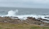 Randonnée Marche Trébeurden - boucle Île Grande  - Photo 10