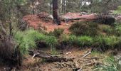 Trail Walking Fontainebleau - Apremont  - Photo 1