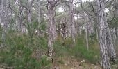 Tour Wandern Saint-Guilhem-le-Désert - Roc de la Vigne - Pousterle - Infernet - Photo 1