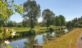 Trail Walking Merbes-le-Château - De Merbes-le-Château à Labuissière - Photo 4