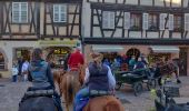 Trail Horseback riding Kaysersberg-Vignoble - 2019-10-26 CDTE67 Tournage Video Promotion TE - Photo 1