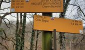 Trail Walking Arbois - Arbois-Pupillin - Photo 3