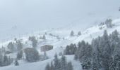 Trail On foot La Plagne-Tarentaise - Le Lac Vert - Photo 9