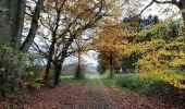 Randonnée Marche Gouvy - Promenade vers la réserve naturelle 