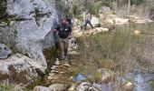 Randonnée Marche Tourves - Tourves- Le Saut du Cabri - Les gorges du Caramy - Photo 18