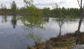 Excursión Bici de montaña Mélisey - VTT des milles étangs, melisey - Photo 1