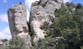 Tour Wandern Le Rozier - le Rosier la Jonte - Photo 4