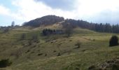 Randonnée Marche Wasserbourg - Tour du Petit Ballon et des fermes auberges - Photo 13