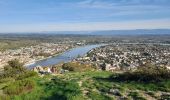 Excursión Senderismo Tournon-sur-Rhône - Tournon chemin St Joseph - belvédère de Pierre - Photo 1