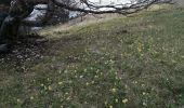 Randonnée Marche Valouse - mielandre par le col de valouse  - Photo 15