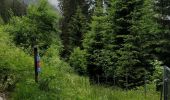 Tour Wandern Arâches-la-Frasse - Carroz les Grangettes pra rôti - Photo 4