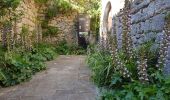Tour Wandern Termes - Termes ( Aude )  + les gorges de Terminet +le Nitable roc - Photo 2