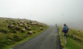 Tour Wandern Saint-Jean-Pied-de-Port - Camino Francés - Etp1 - Saint Jean Pied de Port - Ronceveau - Photo 5