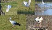 Tocht Te voet Lochem - WNW Achterhoek - Het Haveke -Uiterwaardenroute - Photo 2