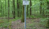 Trail On foot Schiffweiler - Saukaulenweg - Photo 4