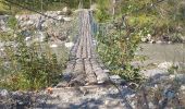 Tour Wandern Saint-Geniez - S GENIEZ . ABROS . LA FOREST . COL DE MOUNIS . O L M - Photo 1