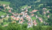 Trail On foot Nothweiler - Wegelnburg-Tour - Photo 9