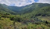 Tour Wandern Saint-Jacques-des-Blats - Plomb du Cantal par les Gardes et retour Devezou n# 2 - Photo 8