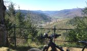 Tour Mountainbike Steinbach - Rocher Albert Waldkapel 2020 - Photo 4