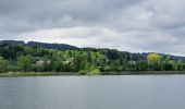 Tour Zu Fuß Greifensee - Greifensee - Maur Schifflände - Photo 7