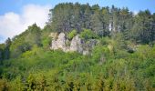 Tour Zu Fuß Gomadingen - Schafbersattel-Lochenbrünnele - Photo 5