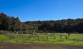 Tour Zu Fuß Vallehermoso - Laguna Grande II - Photo 7