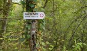 Trail Walking Noroy-le-Bourg - Noroy - le tacot- La Croix mercier -noroy - Photo 2