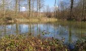 Excursión Senderismo Villers-Cotterêts - Abbaye, fontaine en forêt  - Photo 7