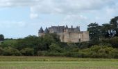 Trail Walking Luynes - Luynes la Rue Barbier - la Loire et l'Aqueduc - 12.3km 100m 3h20 (35mn) - 2025 09 15 - Photo 10
