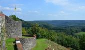 Excursión Senderismo Herbeumont - Herbeumont et son château  - Photo 3