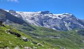 Excursión Senderismo Pralognan-la-Vanoise - le lac de la patinoire - Photo 10