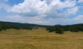 Trail Walking Lajoux - Le crêt de la vigoureuse (le vrai) - Photo 13