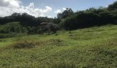 Trail Trail Sainte-Anne - Fond grand ma - Photo 2