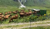 Trail Walking Pralognan-la-Vanoise - Pralognan - lac blanc  - Photo 18