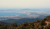 Tour Wandern Collobrières - SityTrail - chapelle st guillaume  - Photo 15