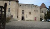 Tocht Te voet Aigueperse - Chateau de la Roche - Photo 8