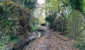 Tocht Stappen Diepenbeek - La réserve naturelle Nietelbroeken à Kortessem - Photo 1