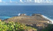 Tocht Trail Anse-Bertrand - Porte d’enfer le littoral  - Photo 8