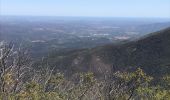 Trail Walking Arles-sur-Tech - Col de Paracols depuis Arles sur Tech - Photo 10