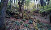 Excursión Senderismo Besançon - Forêt de Chailluz - Photo 13